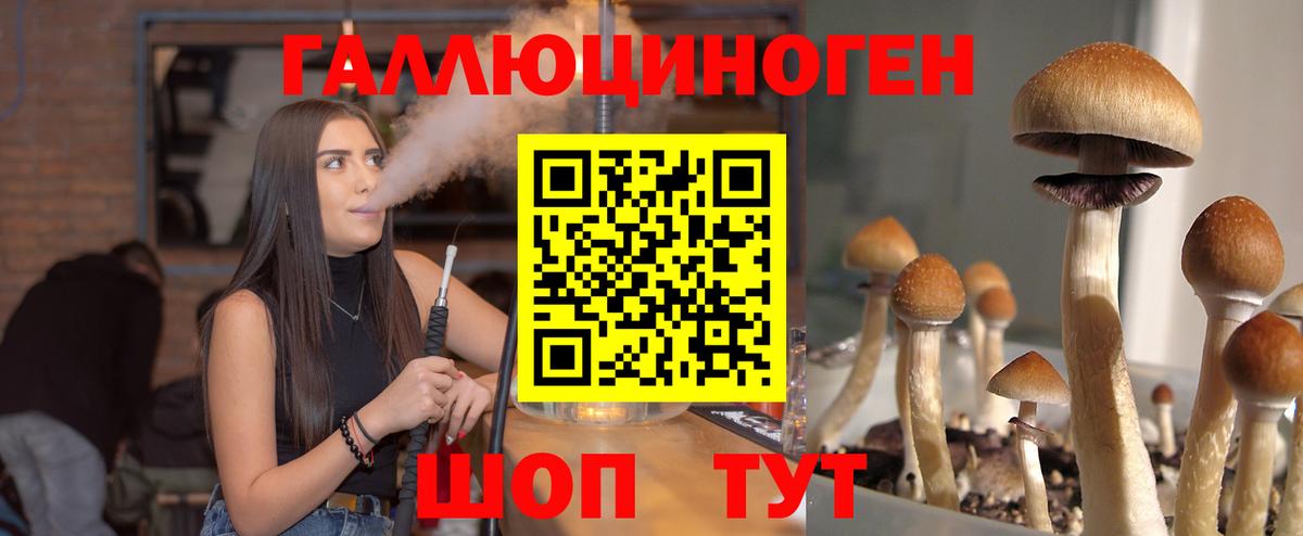 Красноармейск  Псилоцибиновые грибы Magic Shrooms  Вход с VPN  Псилоцибиновые грибы MAGIC MUSHROOMS 